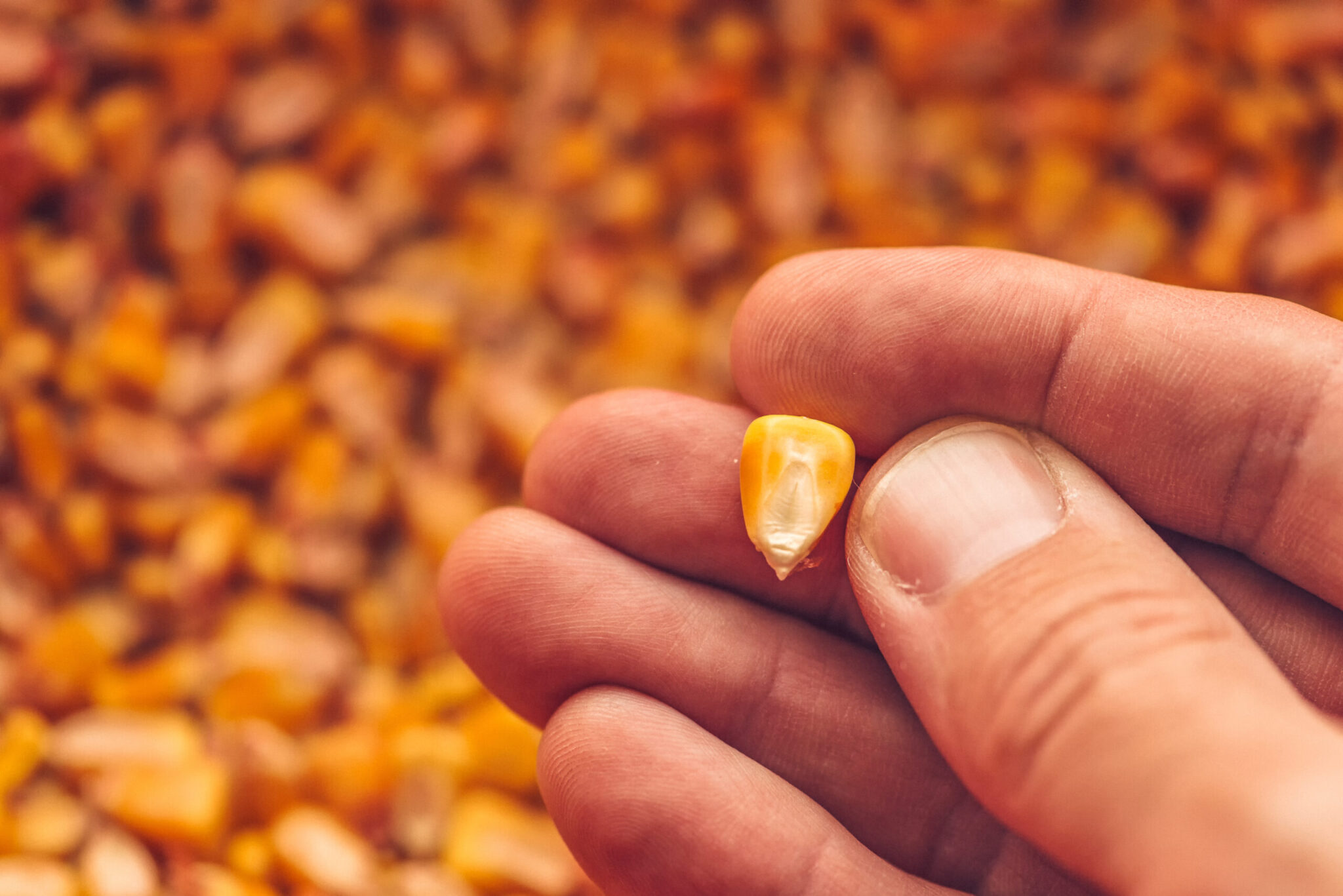 AdobeStock_251525936-scaled-1